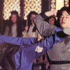 Eine dynamische Kampfszene mit einer Frau, die einen Tritt ausführt. Im Hintergrund unscharfe Zuschauer.