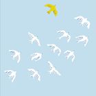 Ein hellgelber Vogel fliegt über einer Gruppe weißer Vögel auf hellblauem Hintergrund.