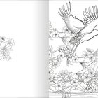 Illustration: Eine Kranich fliegt über blühende Kirschzweige, darunter ein Berg mit Sonne im Hintergrund. Links einzelne Blüten.