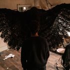 Ein Mann steht in einem Atelier vor einer großen, schwarzen Federstruktur. Zeichnungen und Skizzen sind an den Wänden.