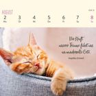 Text: "Die Kraft unserer Träume führt uns an wundervolle Orte. – Angelika Emmert."
Kalenderseite, schlafendes Kätzchen.