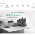 Kalender-Oktober, Woche 43. Zitat: "Es ist besser, überhaupt nichts zu tun, als etwas Sinnloses." Eine Katze liegt in einer Kiste.