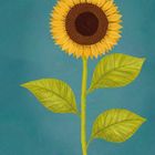 Eine Illustration einer Sonnenblume auf blauem Hintergrund. Große gelbe Blütenblätter und drei grüne Blätter am Stiel.