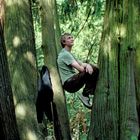 Ein Mann in einem grünen Shirt sitzt zwischen zwei großen Bäumen in einem Wald.