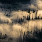 Kein Text vorhanden. Eine Berglandschaft mit Nebel und Sonnenstrahlen, die durch eine bewaldete Landschaft scheinen.