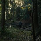 Kein Text zu sehen. Eine Person steht in einem dichten Wald vor einem kleinen Teich, umgeben von hohen, dunklen Bäumen.