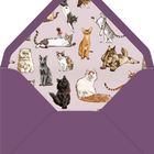 Illustration von verschiedenen Katzen in unterschiedlichen Posen, eingefügt in einen lila Umschlag.