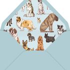 Illustration verschiedener Hunderassen auf dem Innenfutter eines blauen Briefumschlags.