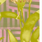 "NOTES" steht in der Mitte. Geometrisches Muster und gelbe Blätter im Hintergrund, Spiralbindung oben.