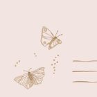 Die Illustration zeigt zwei gezeichnete Schmetterlinge und drei horizontale Linien auf hellrosa Hintergrund.