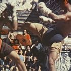 Zwei Kämpfer in traditioneller Bekleidung in einem intensiven Kampf, umgeben von einer Zuschauermenge in antiker Kulisse.