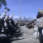 Viele Personen knien in einer Allee, recken die Arme hoch, umgeben von Bäumen und einem klaren Himmel.