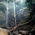 Ich kann keinen Text auf diesem Bild erkennen. Eine Person in einem langen roten Gewand steht in einem dichten Wald.