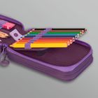 Kein Text vorhanden. Offenes Federmäppchen mit bunten Stiften in einem lila Etui.