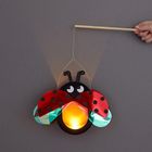 Ein von Hand gehaltener Marienkäfer-Lampion leuchtet orange und hängt an einem Draht mit Stab.