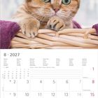 Kalenderseite für August 2027 mit einem Bild einer neugierigen Katze in einem Korb.