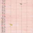 "Juli" und Kalendertage oben. Illustration: Tiere musizieren, z.B. Tiger mit Besen, Frosch dirigiert.