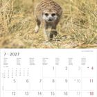 Text: "7 · 2027" und Wochentage in mehreren Sprachen. Ein Erdmännchen läuft durch trockenes Gras.