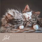 Kalenderseite für Juli, Wochentage und Datum. Drei schlafende Katzen kuscheln eng beieinander auf einem Korb.
