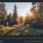 "Juli" am unteren Rand, darunter ein Kalender. Waldlichtung bei Sonnenaufgang, Lichtstrahlen und lange Schatten.
