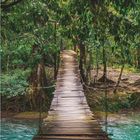 Kalender mit Juli-Daten. Holzbrücke schwebt über türkisfarbenem Wasser in einem dichten, grünen Dschungel.
