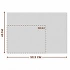 Text: "DIN A3", "42 CM", "59,5 CM". Rechteck mit gestricheltem Innenrahmen.