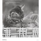 Zitat von Goethe. Kalenderseite: 19. bis 25. April. Kätzchen schmiegt sich an Kaninchen in einem Korb.