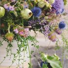"August" und "Landlust" in Weiß auf Blau, Blumenstrauß mit stacheligen, violetten und blauen Blüten auf Holztisch.