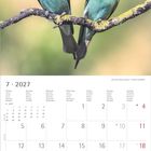 Kalender Juli 2027. Zwei Bienenfresser auf einem Ast; einer hält ein Insekt im Schnabel.