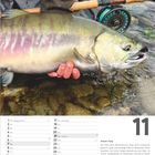 Kalenderblatt für November, große Ziffer 11. Beschreibung: Ein Angler hält einen großen Lachs über flachem Wasser.