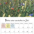 Text: „Es gibt nur eine Zeit – deine Zeit!“, „Blühe oder verdufte im Juli!“ Kalender mit Pflanzenfoto oben.