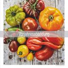 "Vorjahresabbildung" über bunten Tomaten auf Holz. Unten Zahlen von 1 bis 31 und "07" mittig.