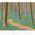 Kalender für April 2027. Ein Waldpfad durch einen Blumenteppich aus blauen Blumen, umgeben von hohen Bäumen.