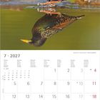 Kalender für Juli 2027. Wochen beginnen montags. Oben ein Foto eines Stars am Wasser. Feiertage: 4., 11., 18., 25. Juli.