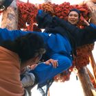 Zwei Personen in traditioneller Kleidung sind in einem hölzernen Gerüst mit roten Stoffbündeln verwickelt.