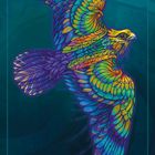 Text: "FALCON Courage". 

Illustration eines farbenfrohen, stilisierten Falken mit ausgebreiteten Flügeln auf dunklem Hintergrund.