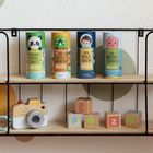 Links: UNSERE TIERWELT. Weiter rechts: DIE DINOSAURIER. Daneben: DEN WELTRAUM. Rechts: DIE MEERES-TIERE. Darunter eine Kamera und Bauklötze.