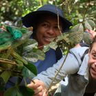 Zwei Personen schauen lächelnd in Richtung eines grünen Chamäleons, das auf einem Ast sitzt, umgeben von dichtem Laub.