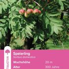 "8b, WILDOBST, Speierling, Sorbus domestica, 20 m, 300 Jahre, Wurzelverankerung ●●●, Futterwert ●●●●●, 1025 m ü. M."  
Abgebildet ist ein Baum mit roten Früchten.