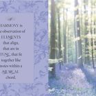Text: "HARMONY is the observation of ELEMENTS that align, that are in TUNE, that fit together like notes within a MUSICAL chord." Links: florales Muster in Lila. Rechts: Wald mit blauem Blumenteppich und Sonnenlicht.