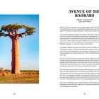 **AVENUE OF THE BAOBABS**

Rechter Text beschreibt Baobabs in Madagaskar, Alter 2.800 Jahre. Links Bild: Großer Baobab vor blauem Himmel.