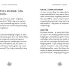 Titel: Next-Level Hedgehog Gardening. Anweisungen zum Erstellen von Igel-freundlichen Gartenbereichen.