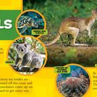 "The Animals: Kangaroo crossing! Australia." Zwei Wallabies stehen einander zugewandt, umgeben von Tieren wie Koala, Meeresschildkröte.