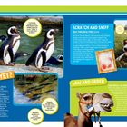 ARE WE THERE YET? Pinguine am Wasser. Mehrere Textblöcke beschreiben Tiere und ihre Geschichten.