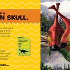 Tsintaosaurus hatte einen Einhornschädel. Illustration von zwei bunten Dinosauriern in einer Waldlandschaft.