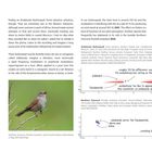 Texte beschreiben die Geräusche von Andalusian Buttonquail und Northern Dunnock, ergänzt durch Sonagramme und eine Vogelabbildung.