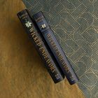 Zwei Bücher mit dem Titel "Wicked Endeavors" von Kamilah Cole liegen auf gemustertem Untergrund. 