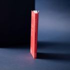 Buchtitel: "The Nightingale and the Rose" von Oscar Wilde. Rotes Buch aufrecht vor dunklem Hintergrund.