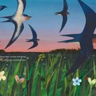 "Swallows skim across the grass, flitting wing tips beating fast." Schwalben fliegen über eine Wiese vor buntem Abendhimmel.