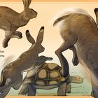 Text: "Can you guess who was who? Okay, that is too easy. But can you guess who won?" Mehrere Hasen und Schildkröten.